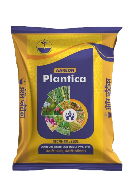 AAREON PLANTICA is a balanced blend of organic and bio-nutrients. Its fulvic acid, humic acid, and other components help increase beneficial microorganisms in the soil, improve soil structure, and enhance nutrient availability. It strengthens roots, boosts plant immunity, improves photosynthesis, and increases flowering and fruit setting. Regular use improves crop yield, quality, and overall plant health.